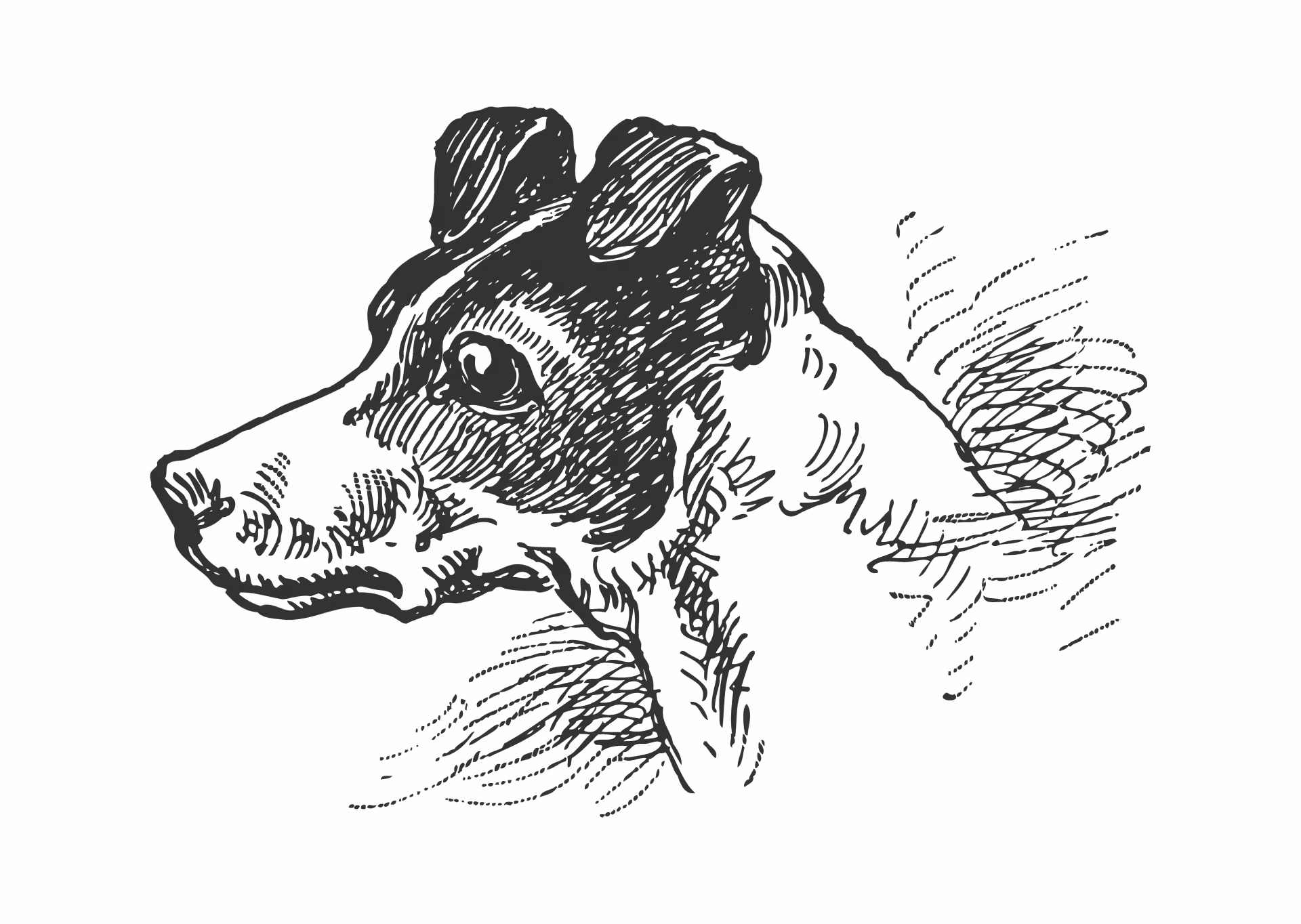 Example Dog 2